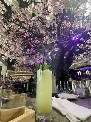   at Cloak & Petal in San Diego