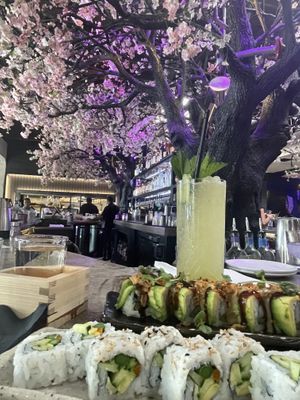   at Cloak & Petal in San Diego