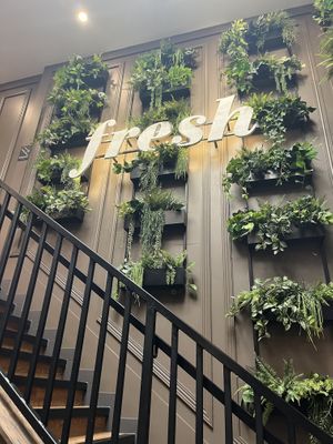 Inside  at Fresh Kitchen + Juice Bar in Oakville