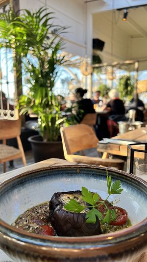 Eggplant   at Ubuntu in Zandvoort