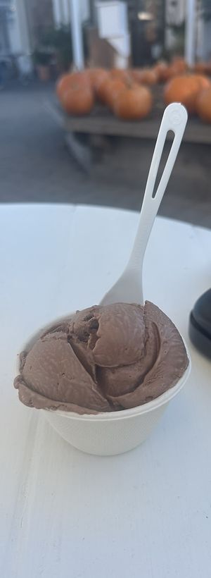 Chocolatee  at Frankie & Jo's in Larkspur