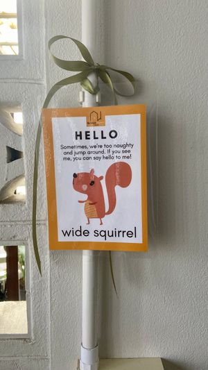Wild squirrels   at Na Vayla PaPlern Hotel in Bangkok