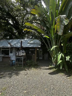 Behind The Palm is a Seating area  at Lori Restaurant & Deli in Dominical