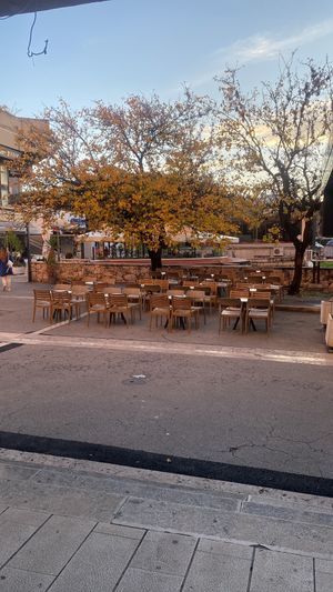 Almond  at Utopia Specialty Coffee Shop in Split