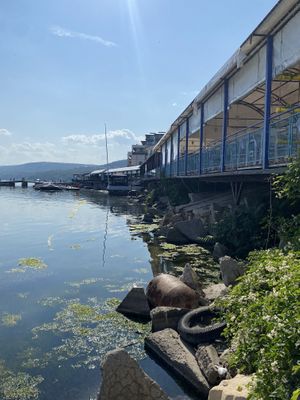 The area   at Selena in Balchik