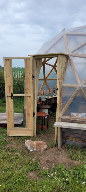  at Gamrie Gardens Farm Shop in Gardenstown