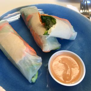 Fresh Summer Rolls with Peanut Sauce at Health Bistro in Gainesville