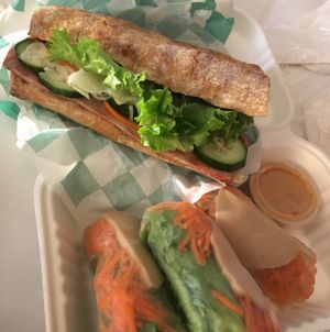 The Vegan2Go Sub and Summer Rolls, delicious! at Health Bistro in Gainesville