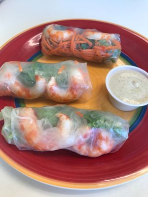 Spring rolls at Health Bistro in Gainesville
