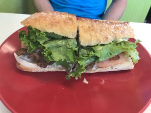 Philly  at Health Bistro in Gainesville