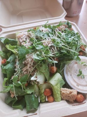 Vegan ceasar salad at Heirloom Food Company in Danielson