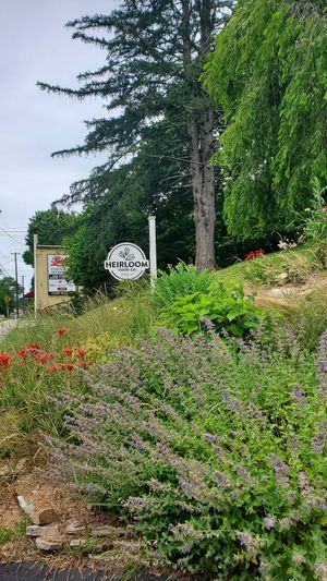 entry sign at Heirloom Food Company in Danielson