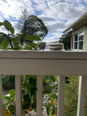 Best oatmeal cream pie ever! at Heirloom Food Company in Danielson