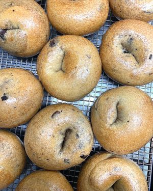 Organic Olive Bagels  at Mort & Betty's - Pop Up in Los Angeles