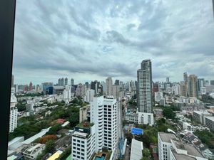 The view at Baan Borneo Club in Bangkok