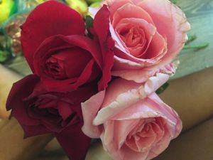 organic roses perfect foraging edible rose water  at Upcountry Farmer's Market in Pukalani