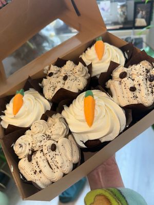  at Delight in Plymouth