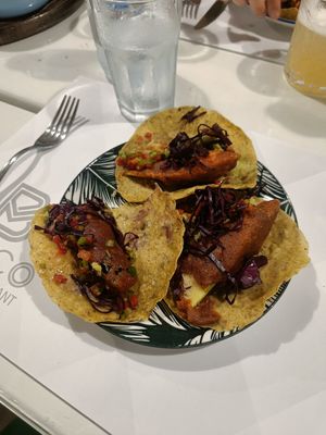 Vegan tacos with fried eggplant and zucchini at Casa Mexicana in Ksamil