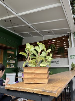   at duLocal in Sao Paulo