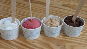 Lemon sorbet, raspberry sorbet, peanut butter, chocolate brownie chunk. at Honeysuckle Gelato Optimist Hall in Charlotte