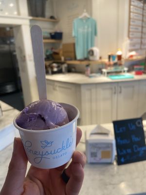 Honeysuckle - Ube vegan ice cream  at Honeysuckle Gelato Optimist Hall in Charlotte