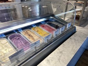 Honeysuckle - Interiorr  at Honeysuckle Gelato Optimist Hall in Charlotte