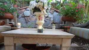  at Vegetarian Underground Restaurant in Cypress