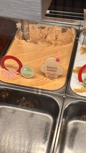   at Arthur Gelato in Bratislava