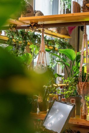 Cozy place at Nom Nom in Bucharest