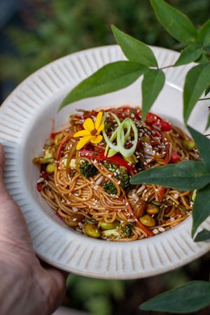 Stir fried noodles at Nom Nom in Bucharest