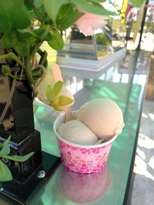  at Sherbete in Bordeaux