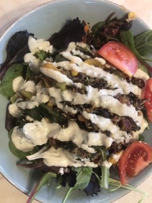   at Plant Powered Adventure in Columbia