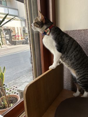   at Roar Factory in Tainan