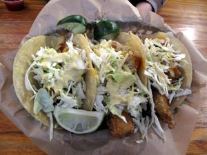 Fish tacos - these were a special but, hopefully, they make them permanent as they were completely amazing! at Green New American Vegetarian in Tempe