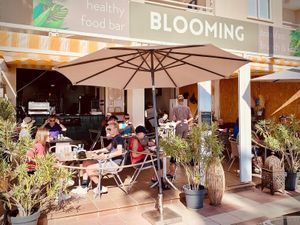 Terrace at BLOOMING I Healthy Food Café in Torremolinos