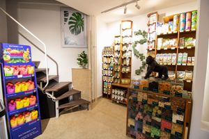  at Healthy Jungle in Belgrade