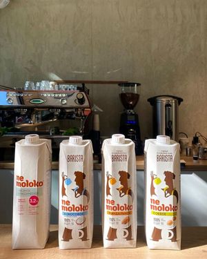 Vegan milk for coffee: oat, coconut, almond, soy at 202 °F - Alternative Coffee Brewing in Yerevan