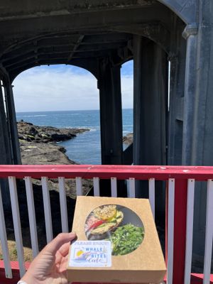 Looking for whales from patio seating, Pacific Toast on bagel  at Whale Bites Cafe in Depoe Bay
