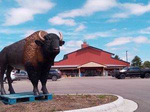 Cool Animals Everywhere! at Golden Harvest Market in Merrill