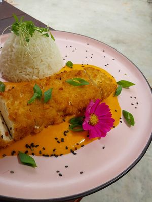 Tofu Tonkatsu at Orango Mango in Bauru