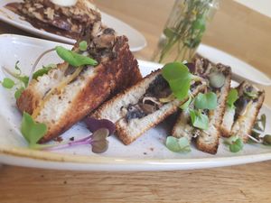 Truffle grilled sandwich at botànic in Barcelona