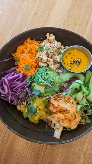  at botànic in Barcelona