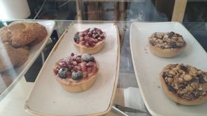  at botànic in Barcelona