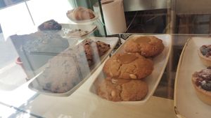  at botànic in Barcelona