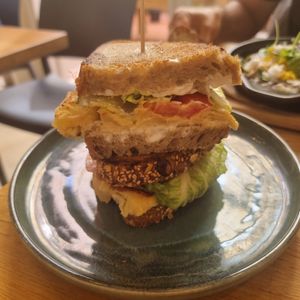 Tortilha at botànic in Barcelona