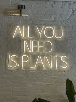 Plants is all you need   at botànic in Barcelona
