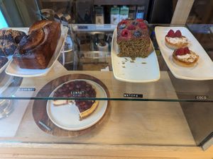 treats at botànic in Barcelona