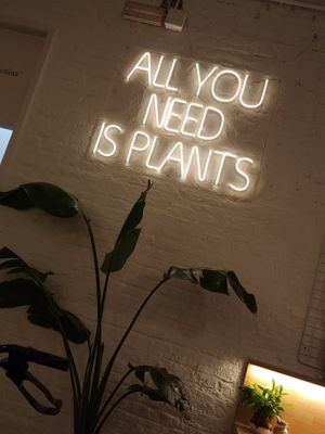 AGREED! at botànic in Barcelona