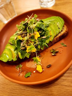 Avo Toast at botànic in Barcelona