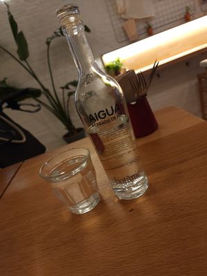 Fancy water with a glass topper too! at botànic in Barcelona